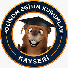 Polinom Logo
